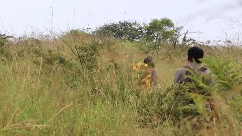 Two Hikers Walking Through Tall Grass with Mountai Stock Footage 318237754