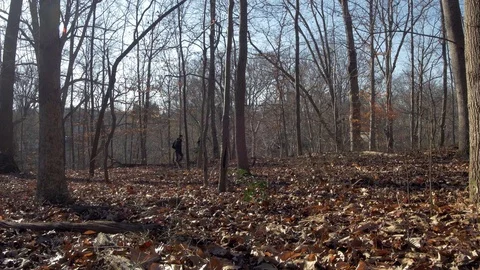 Two Hikers Walking Through Woods Fall/Autumn Evening 库存影片 72436744
