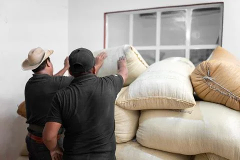 Two Hispanic farmers are stacking coffee sacks in the warehouse Stock Photos