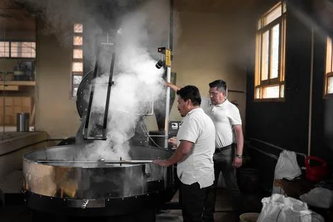 Two Hispanic men are looking at hot roasted coffee inside of the cooling tray Stock Photos