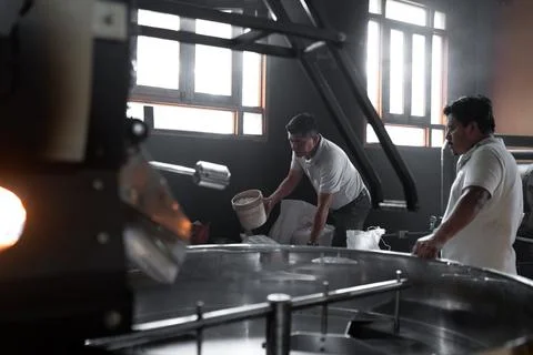 Two Hispanic men are measuring the coffee beans for the roaster machine Stock Photos