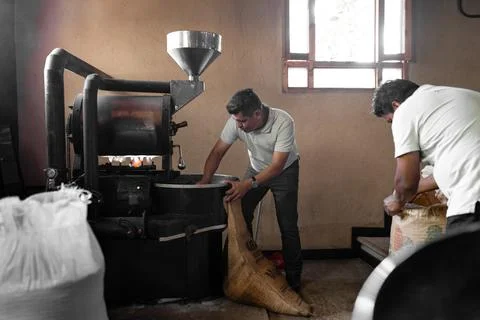 Two Hispanic men are picking up the coffee from the roaster machine Stock Photos