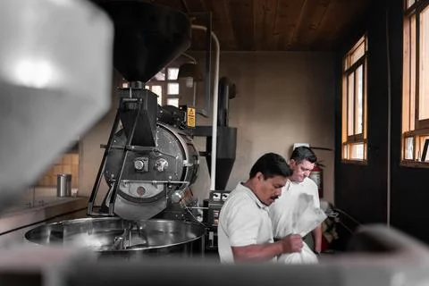 Two Hispanic men are preparing the coffee beans for the roaster machine Stock Photos