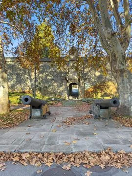 Two historic cannons placed in front of the stone gate of Forte de So Franc.. Stock Photos