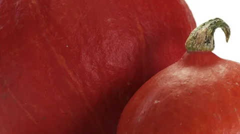 Two Hokkaido squashes Stock Footage 8570990