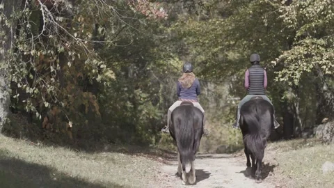Two Horses and Two Riders Stock-Footage 135055304