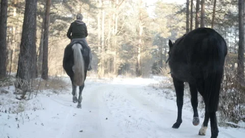 Two horses are on the trail 스톡 동영상 85965604