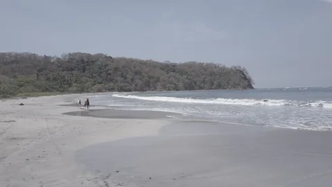 TWO HORSES ON BEACH FROM LEFT | EXT | 2398 | 4K Stock Footage 105191572