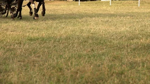 Two horses carriage contest Stock-Footage 95933559