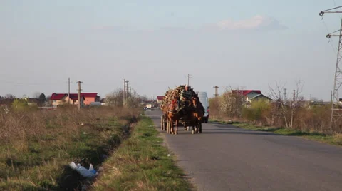 Two horses carriages loaded with logs on a rural road, wood,village, wagon  Stock Footage 36778963