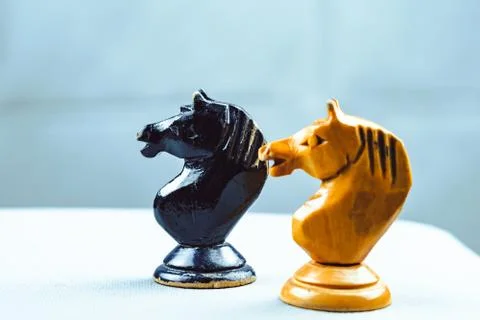 Two horses chess pieces 库存照片