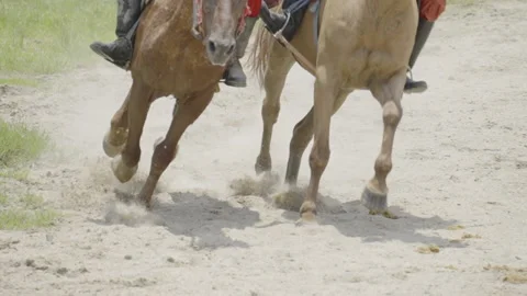 Two horses competition Video stock 205083599