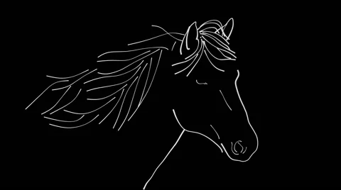 Two Horses Drawing Animation 2D (HD) Vidéo 43364090