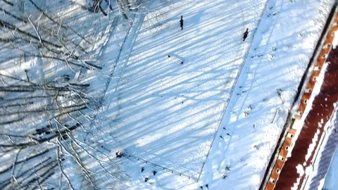 Two horses Stock Footage 72922371