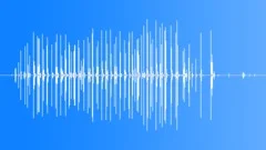 Two Horses On Hard Sound Effect