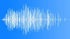 Two Horses On Hard Sound Effect