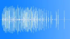 Two Horses On Hard Sound Effect