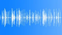 Two Horses On Hard Sound Effect