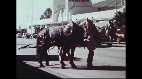 Two horses laboriously haul a heavy equipment trunk for Cole Brothers Circus Stock Footage