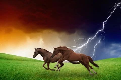 Two horses, lightning storm Фото