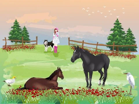 Two horses in a paddock on green grass. A girl with a dog with sunset Stock Illustration
