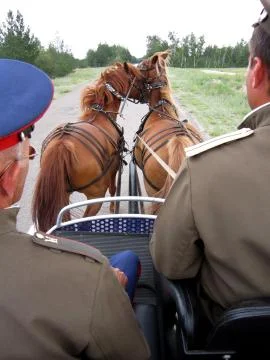 Two horses quickly pull light Cossack carriage Stock Photos
