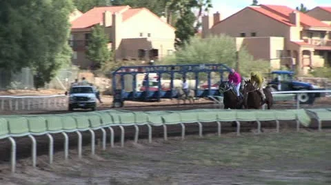Two Horses Running Together On A Track 動画素材 19152241