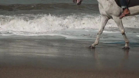 Two horses walking on waves, close up of legs Stock Footage 63825064