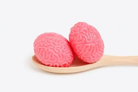 Two Human Brain Models Set on a Wooden Spoon Foto stock