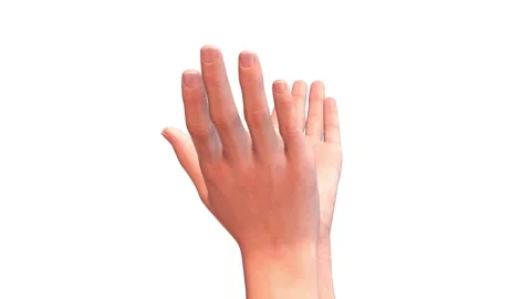 Two human hand rotating isolated on white background. Stock Footage 181001615