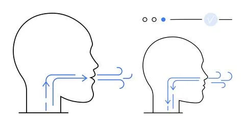 Two human head outlines illustrating airflow during breathing process arrows  Stock Illustration