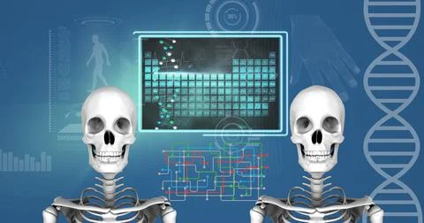 Two human skeleton models and digital interface with medical data processing Stock Illustration