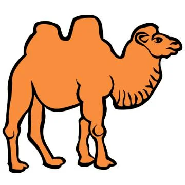Two-humped camel on a white background Stock Illustration