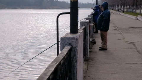 Two hungry cats are waiting for fishermen's catch 스톡 동영상 86290568