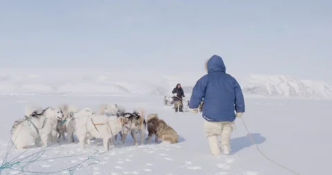Two hunters meet on the ice Stock Footage 138236648
