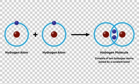 Two hydrogen atoms combine to form a hydrogen molecule a covalent bond Stock Illustration