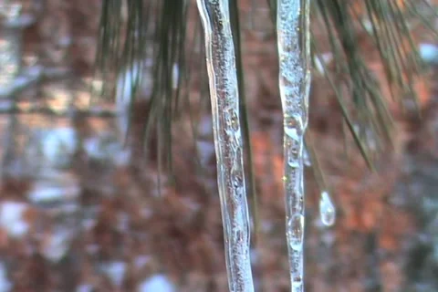 Two Icicles Extreme Close Up Stock Footage 1067995