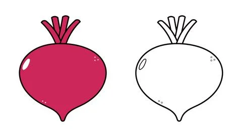 Two illustrations of Beets one colored and one outlined, on a white backgroun Stock Illustration