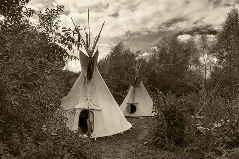 Two Indian tepees stand in a meadow between trees in sepia and oil colour effect Stock Photos