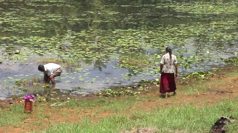 Two indigenous people in a pond Stock Footage 41382451