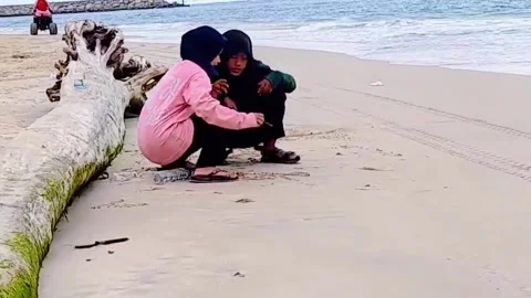 Two individuals enjoy a moment of playing on a pristine sandy beach Stock Footage 295456933