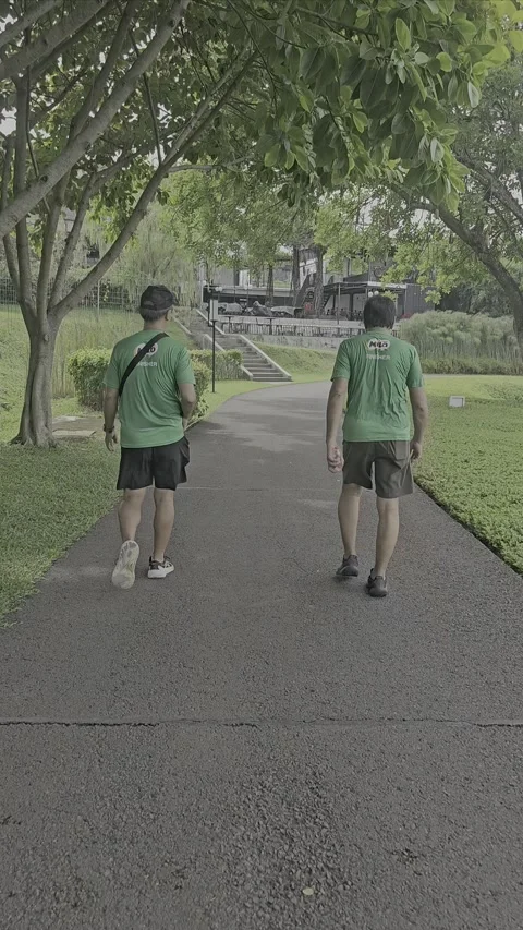 Two Individuals Walking Along a Tree-Lined Path in a Green Park Stock Footage 296479093
