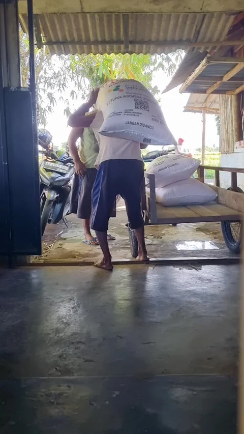Two Indonesian farmers loading heavy sacks Video stock 337455775