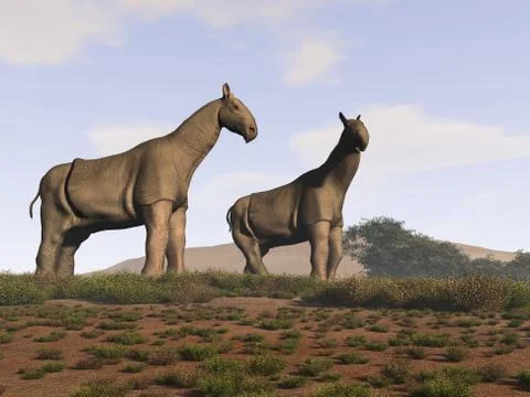 Two Indricotherium イラスト素材