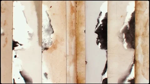 Two ink portraits facing each other on paper, seamless loop Stock Footage 346768906