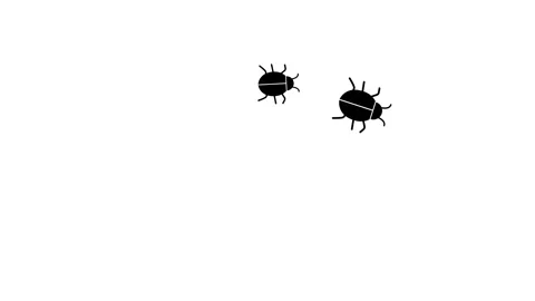 Two insects follow each other white background Stock Footage 312041069