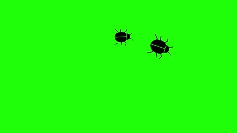 Two insects follow each other green background. Stock Footage 312041070