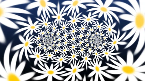 Two Inter Meshed Rings Spirals of Daisy Daisies Stock Footage 139714463