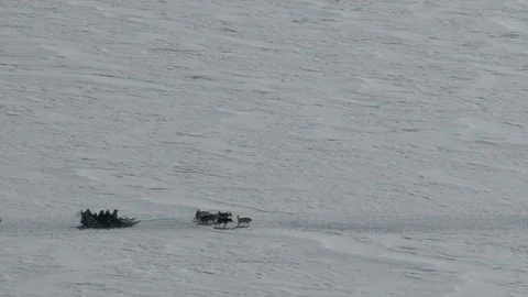 Two Inuit Sleds Stock Footage 104582899