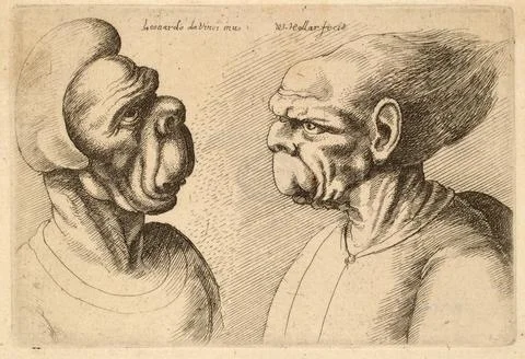 Two inward facing deformed heads after Leonardo da Vinci Historic digitally Stock Illustration